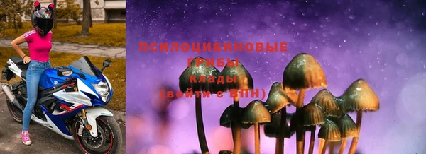 PSILOCYBIN Ельня